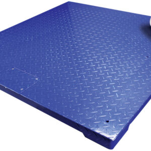 PT Platforms with GK-Plus Checkweighing Indicator PT 112 [GK-Plus]